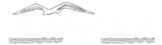 ilgabbianopalinuro